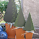 Baum