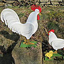 Huhn