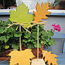 herbstblätter