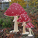 Pilze