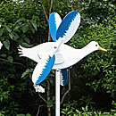 Flattermöwe